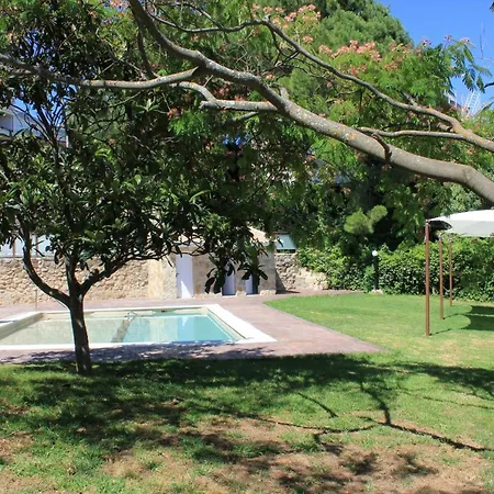 El Mirador