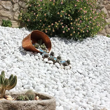 Apartament El Mirador *